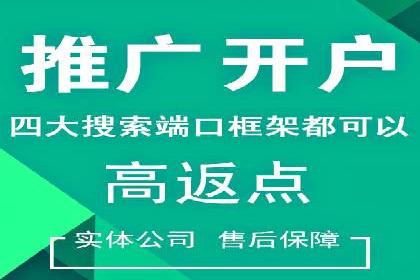 SEM运营推广策略：成功案例解析
